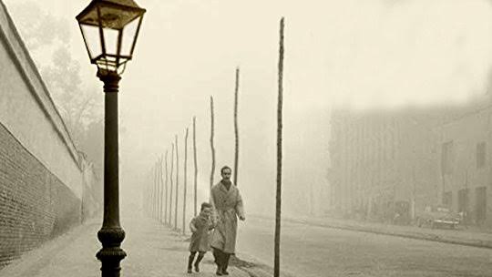 Shadow of the Wind from Goodreads